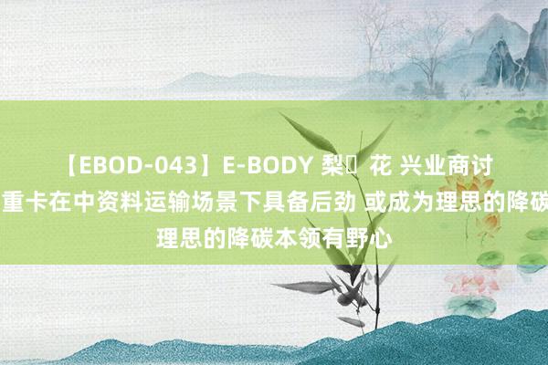 【EBOD-043】E-BODY 梨々花 兴业商讨： 燃料电板重卡在中资料运输场景下具备后劲 或成为理思的降碳本领有野心