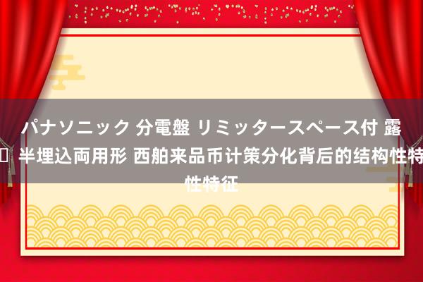 パナソニック 分電盤 リミッタースペース付 露出・半埋込両用形 西舶来品币计策分化背后的结构性特征