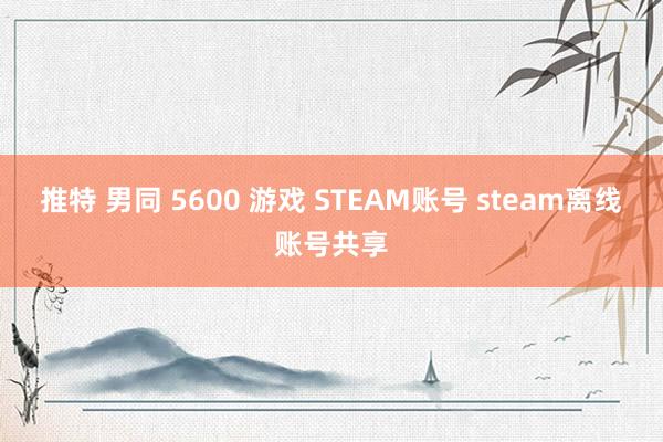 推特 男同 5600 游戏 STEAM账号 steam离线账号共享