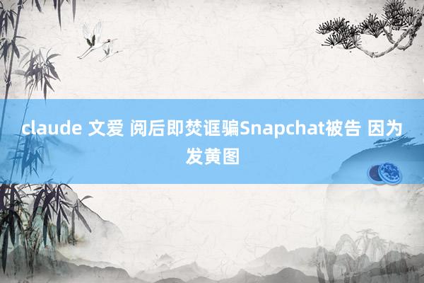 claude 文爱 阅后即焚诓骗Snapchat被告 因为发黄图