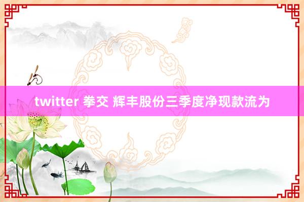 twitter 拳交 辉丰股份三季度净现款流为