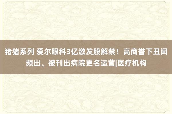 猪猪系列 爱尔眼科3亿激发股解禁！高商誉下丑闻频出、被刊出病院更名运营|医疗机构